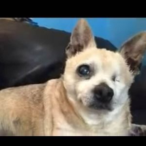 Meet your Posher, Patricia